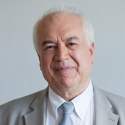 Professor Dr. Bassam Tibi